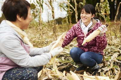 ogzC0YUMK0UXAltW1DxJ.jpg?w=940&h=940