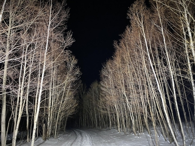 ohAgJ9SFoXGoUnKcrmwv.jpg?w=940&h=940