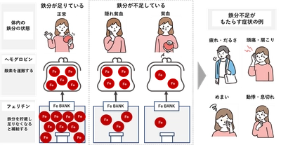 弘前大学・京都大学との共同研究で健康ビックデータから『女性のメンタル不調』に『鉄分不足』が関係していることを確認