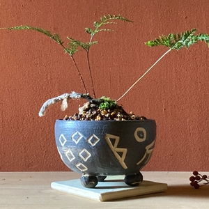 ohfLMdNR6X4haR8ENWRF.jpg?w=940&h=940