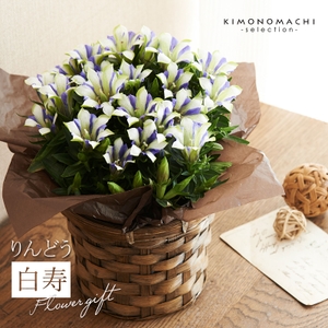 ohmgY9uO3dyfidRYg0Tc.jpg?w=940&h=940