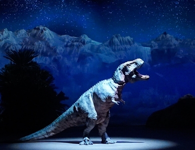 oiH1IR1InzUCmgIhho5y.jpg?w=940&h=940