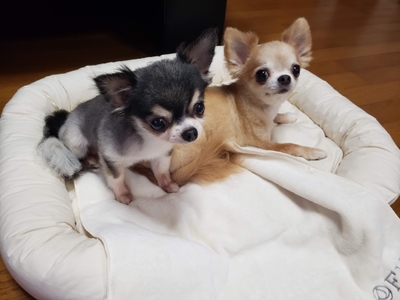 oiiDsWZHl2Qs4ATcvt4d.jpg?w=940&h=940