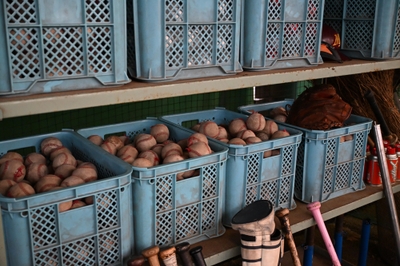 oijWR3ULquz1nB96uupL.jpg?w=940&h=940