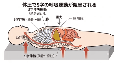 oip4Zxpq2fgulu2Hd6bG.png?w=940&h=940
