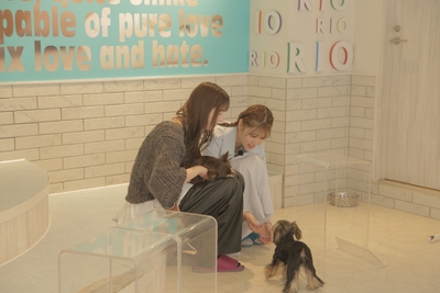 ojSAsny0edo3f06R7Cee.JPG?w=940&h=940