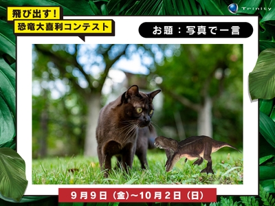 ojykC705HcPGVNdSCSlu.jpg?w=940&h=940