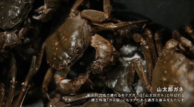 okgVp7vwmBGRjIu2fi6T.png?w=940&h=940