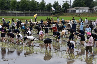 時折、雨も小降りに