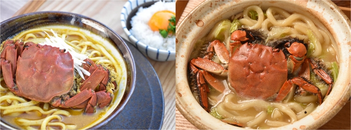 人気のズガニメニューが登場!