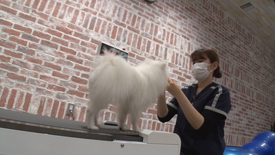 olo4hjHOxFExaRTgC36w.jpg?w=940&h=940