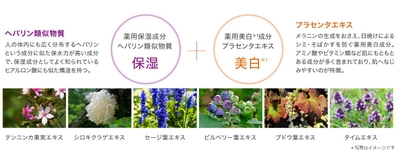 omVbCmkNftc18GyIIAqL.jpg?w=940&h=940