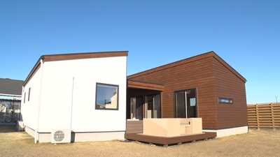 omZK55Py8q5PSriSEWmR.jpg?w=940&h=940