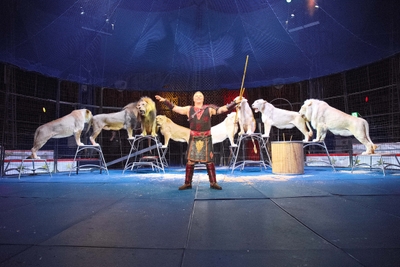 omik2BMLsdM7RWM6pizr.jpg?w=940&h=940