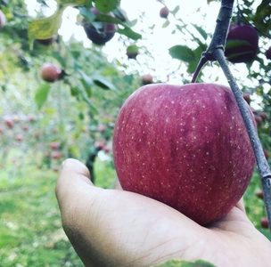 omyzeu5bOOTXxYZxGo3u.jpg?w=940&h=940