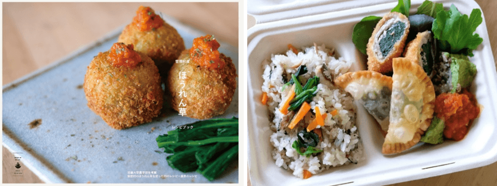 曽爾村のほうれん草のレシピブック(左)、曽爾村のほうれん草を使用した特製弁当(右)