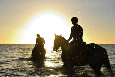 onnm6hFo7XA3WWI6B1R1.jpg?w=940&h=940