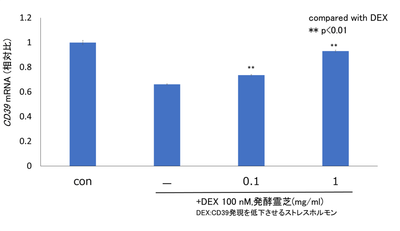 (図4)　発酵霊芝によるCD39遺伝子発現に対する濃度依存性の確認試験