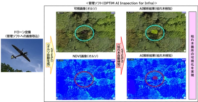 ドローンとAI解析技術を活用した「枯れ木検知AIサービス」を 新たに開発。枯れ木調査業務の高度化・効率化を目指します