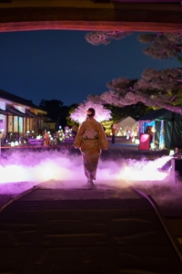 op9i5wwwTDFRXVgYGuFV.jpg?w=940&h=940