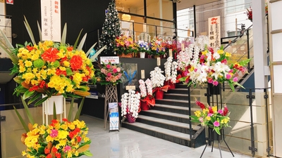 opQAQ4ec304grsH0gDs5.jpg?w=940&h=940