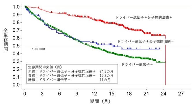 図 ドライバー遺伝子変異の有無と標的治療の有無による全生存期間の分類 遺伝子検査の結果、ドライバー遺伝子が見つかり分子標的治療が受けられた群(赤線)、ドライバー遺伝子が見つかったが分子標的治療が受けられなかった群(青線)、ドライバー遺伝子が見つからなかった群(緑線)の生存曲線