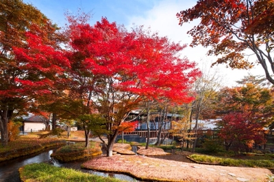 orh4dDmqz2T6gtILQP4v.jpg?w=940&h=940