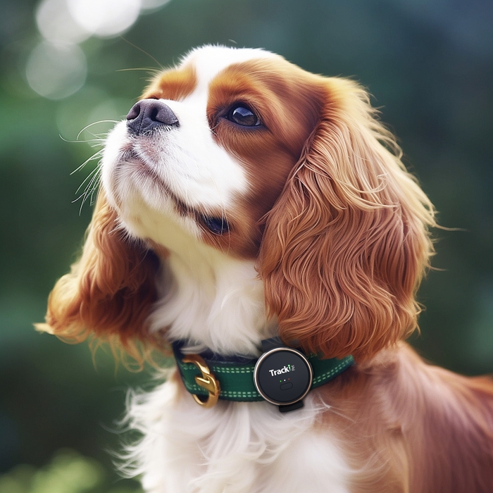 図3:TrackiPetの装着例1