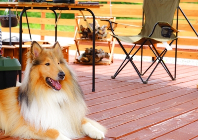 osyxpG2AFXgwLUOfytrX.jpg?w=940&h=940