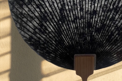 otNtv8Kv09FfCUB3HNAJ.jpeg?w=940&h=940