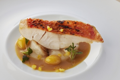 ▲魚料理「炭火焼き鮮魚 蕪のサフランのナージュ」