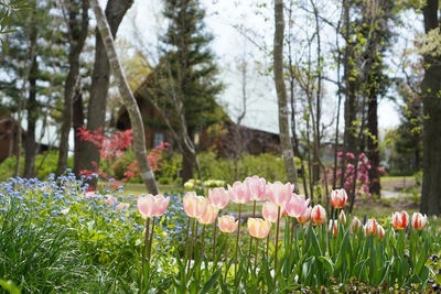 owQqs5A7uH2A7qodSBrx.jpg?w=940&h=940