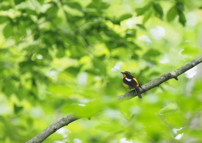 oxUTV6Ny88kVryc3FjyB.jpg?w=940&h=940