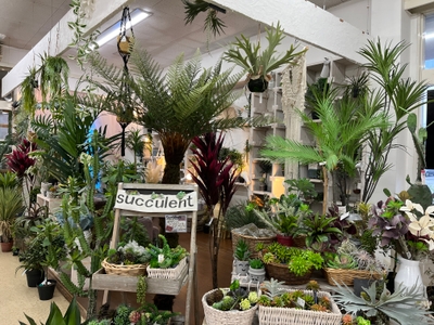 ozBuhWiyYpJl5uZep2NV.jpg?w=940&h=940