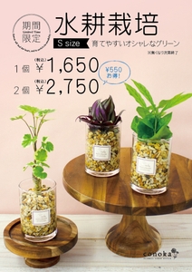 ozF0EHtDQ0dHhMowY8SK.jpg?w=940&h=940