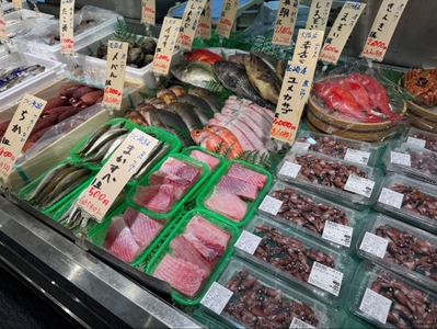 p02tkdiSW6tFtEq6cvOH.jpg?w=940&h=940