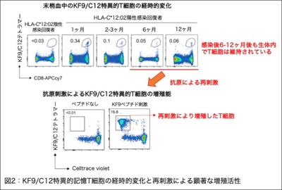 p0ieMpTLNujYjOk5z0rE.jpg?w=940&h=940