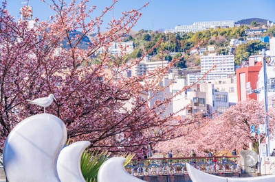 p2bjilln4HfSk5JTAxjP.jpg?w=940&h=940