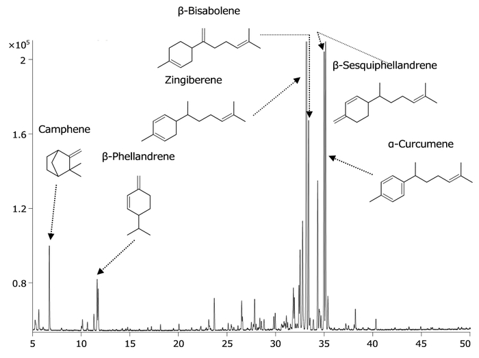 図 GCクロマトグラム(SPME)