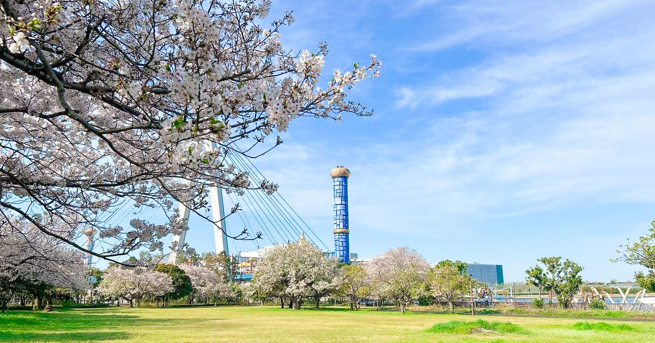 大阪北港マリーナが桜の開花を宣言！ 穴場スポットで海と桜の絶景を満喫 & 新テイクアウトメニュー「POP CUP」登場！