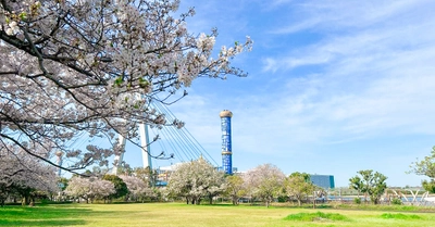 大阪北港マリーナが桜の開花を宣言！ 穴場スポットで海と桜の絶景を満喫 & 新テイクアウトメニュー「POP CUP」登場！
