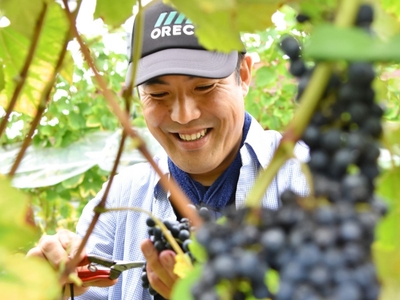 p4pJjdtnnVV6t1jUgI5I.jpg?w=940&h=940