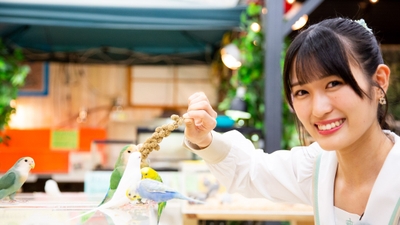 p6yiFKMMjjMwCpeb2xke.jpg?w=940&h=940