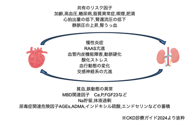 p80Ji7vW0UWEQ5iu1WyI.png?w=940&h=940