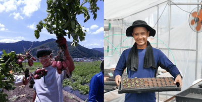 p867pWAE7iESJ3QbE2Eu.png?w=940&h=940