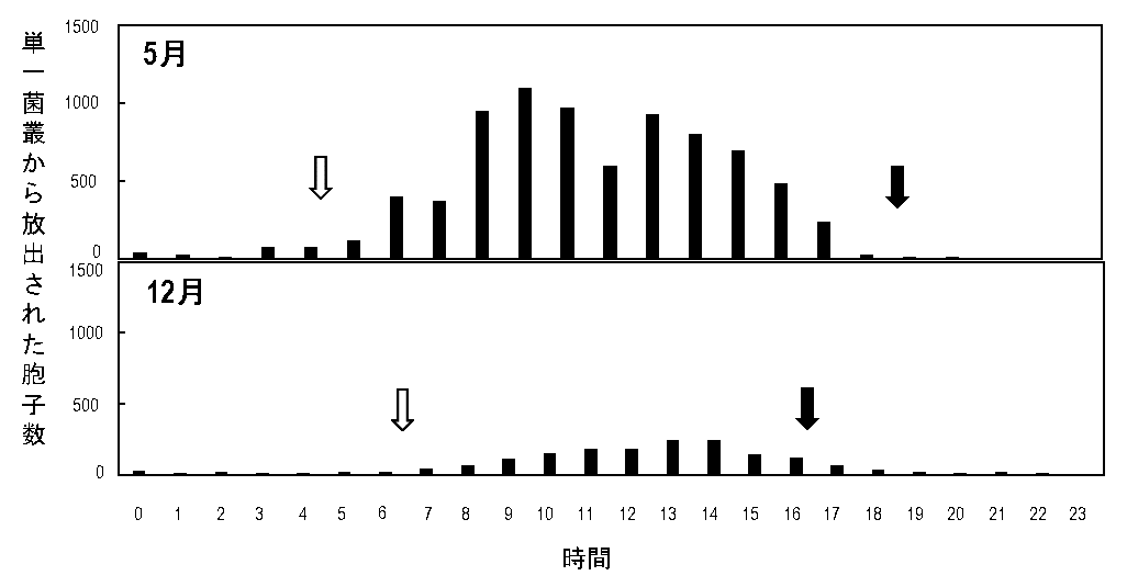図2 静電気胞子回収装置を用いて20日目のイチゴうどんこ病菌の単一菌叢から回収された胞子数の測定