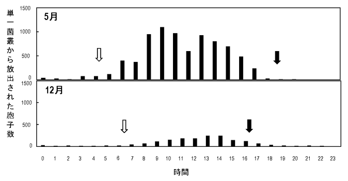 図2 静電気胞子回収装置を用いて20日目のイチゴうどんこ病菌の単一菌叢から回収された胞子数の測定