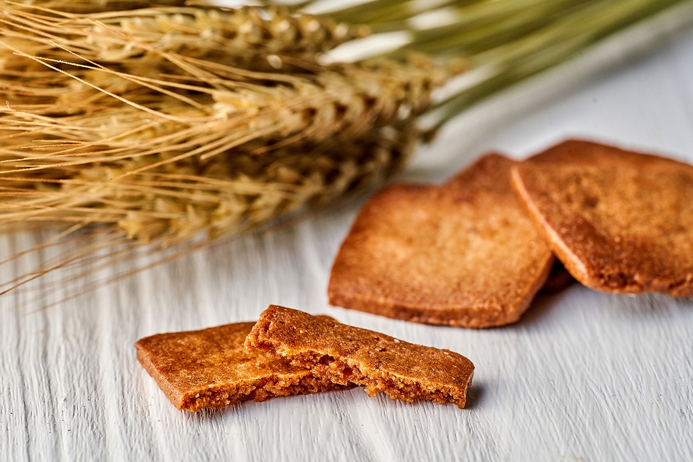 101のサブレ生地