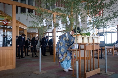 p9cYmTmyi391nKkReJlO.jpg?w=940&h=940