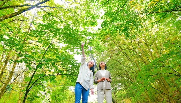 温泉リゾートホテル【TAOYA日光霧降】 自然に親しむ「ネイチャーアクティビティ」に 新たなアクティビティが登場